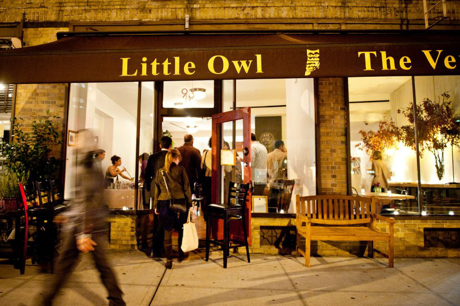 The-Little-Owl-01